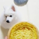 이경순제과점