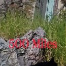 500 Miles 이미지