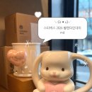스타벅스 발렌타인데이 2026 md 가격 토끼컵 텀블러 대구교대점 재고는?