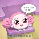 강릉본가족발