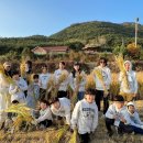 캠핑스쿨 이미지