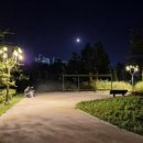 서호꽃뫼공원 이미지