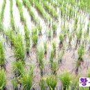 황금바다PC 이미지