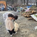 수원에서 충북 보은 키즈드림 캠핑장 다녀왔어요.