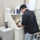 개털도사 이미지