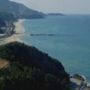 동해대로1 이미지