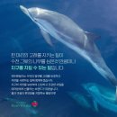 우리웰빙마켓
