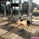 선재도민박 이미지