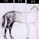 서당골모아아파트경로당 | 1.5분기 모음