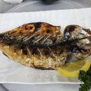 도시어부&미쓰물회 이미지