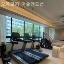 머슬앤모션 | 목동헬스장 오목교PT 머슬앤모션 여기가정답