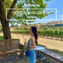 호주 와이너리 투어 추천 멜버른 야라밸리 채움투어 일일 여행 코스 와인 시음 가격 일정 후기