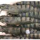(주)대서양무역 이미지