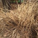 부경건설(주) 이미지