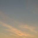 행복