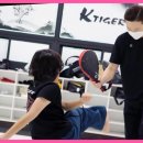 경희대 KTIGERS 태권도 네이버블로그