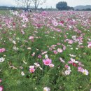 [동구 두 번째 학교_무료강좌] 라탄 공예 | 대구경북글라스아트출강 휴지케이스만들기 단체수업추천
