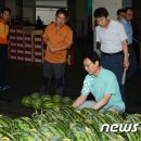 남원원예농업협동조합 이미지