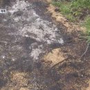 명은농장 이미지