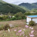 강림면345 이미지