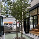 황형택지 | 전주 근교 김제 대형카페 김제역 베이커리 디저트 찐 맛집 셀리스트 로스터리, 디저트 꼭 드세요