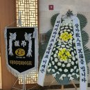 프리덤라이프