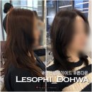 지월드 | 합정역 미용실 르소피합정에서 중단발레이어드 톤다운 (권도화 헤어컨설팅)