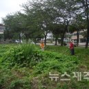 대천동-7 이미지