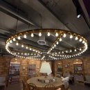 힐링공간 | 강남 고양이카페 추천｜아이와 가기 좋은 힐링 공간 솔직후기