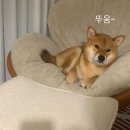 타이어월드 화성점 | 2025 SEP