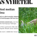 수양오리농장 이미지