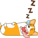 엉알게스트하우스 이미지