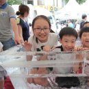 조치원_고려대학교 정문 이미지