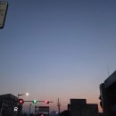 유디코(UDICO) - 중구 | 유디코(UDICO)