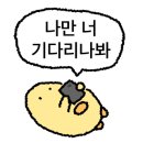 뚱딴지여행