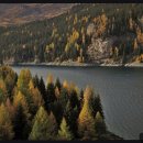 가나안방문요양센터 이미지