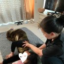 라인안마센터 이미지