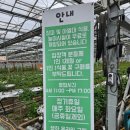 명정농장 이미지