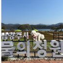 봉구의간식남양주 - 남양주시 별내중앙로 53 | 남양주 물의정원(주차Tip) | 애견동반 산책 서울근교