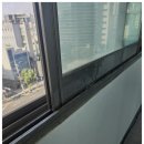미소클린 이미지