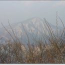 봉우리목장 이미지