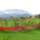 장흥골프랜드 이미지