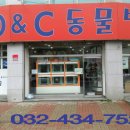 노성남 동물병원 이미지