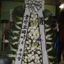 제이비플라워