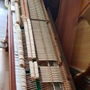 태영상회 이미지