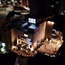 성경완 동물병원 이미지