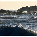 파도의 열창 이미지