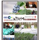 오션팜 이미지