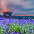 고인돌 조형물 이미지