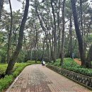 배산체육공원 축구장 이미지